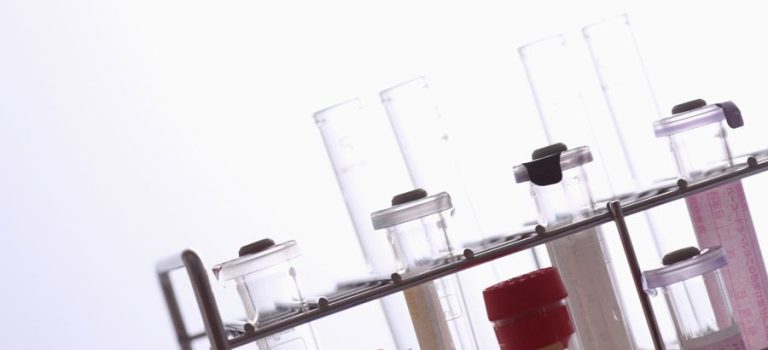 渋谷で広がる健康美意識多様な世代が歯科検診を日常に取り入れる街の進化